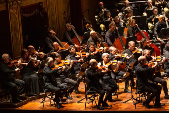 visione dall'alto di un'orchestra d'archi durante l'esecuzione del Concerto Ingo Metzmacher