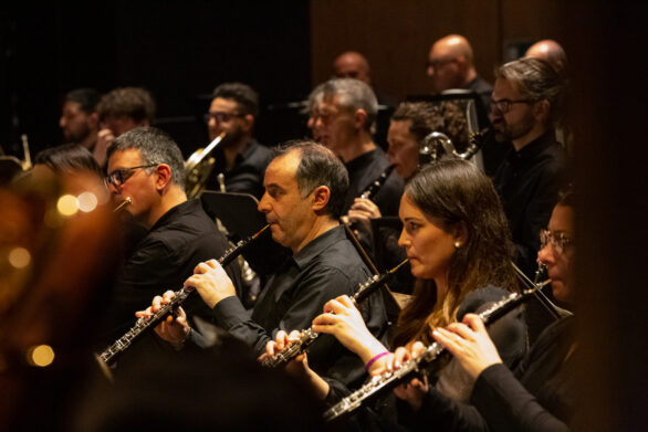 gruppo di clarinettisti durante l'esecuzione del Concerto Ingo Metzmacher