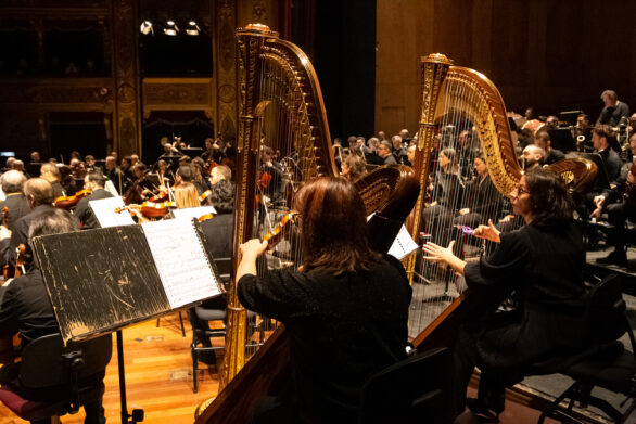 primo piano delle arpiste durante l'esecuzione del Concerto Ingo Metzmacher