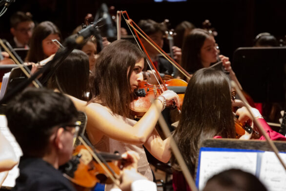 primo piano dei violoncellisti all'interno del teatro durante il concerto di Capodanno delle formazioni giovanili