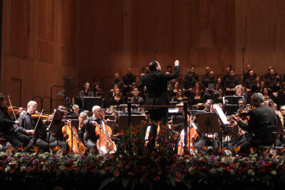 prospettiva avvicinata dell'orchestra all'interno del teatro durante il concerto di San Silvestro