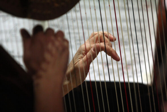 primo piano di mani mentre suonano l'arpa