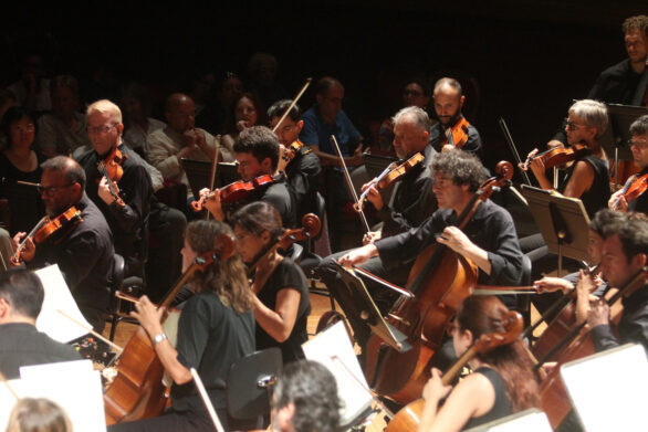 primo piano dei violinisti sul palco