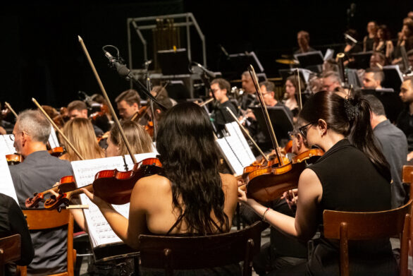 orchestra d'archi ripresa di spalle