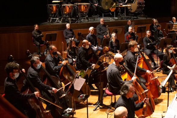 l'orchestra di sassofonisti suona all'unisono