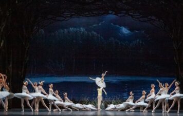 Il lago dei cigni